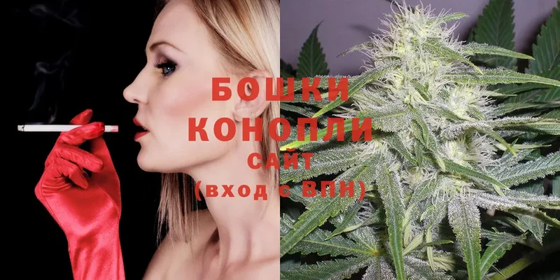 Все наркотики Пудож Псилоцибиновые грибы  Мефедрон  Бошки Шишки  COCAIN 